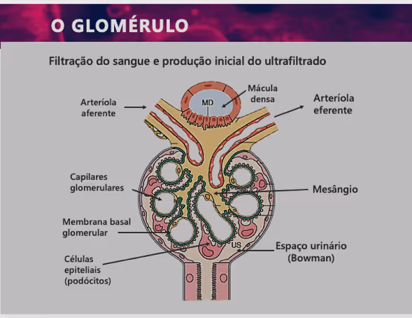 DiagramaDescrição gerada automaticamente