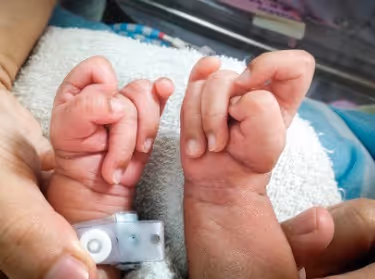Close-up of a baby's curled hands being gently held by adult hands on a white towel.
