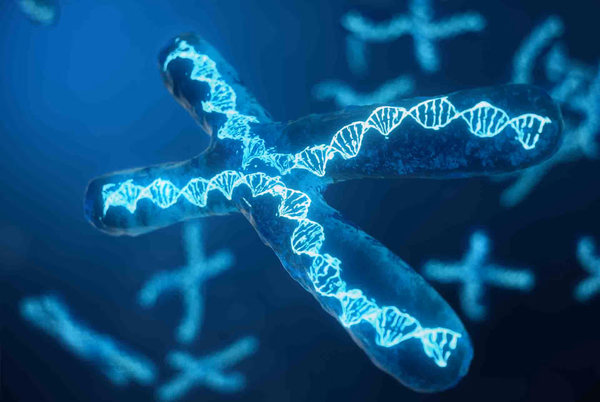 Close-up of a glowing chromosome with a DNA double helix strand inside in blue light.