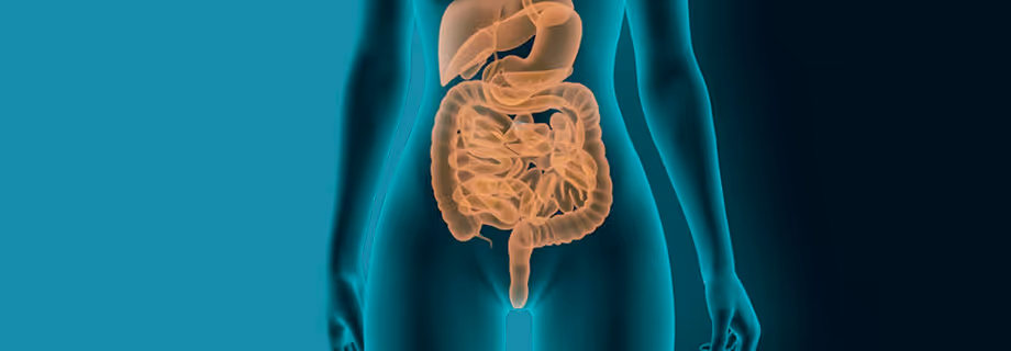 X-ray style image of a female torso showing highlighted digestive system in orange.