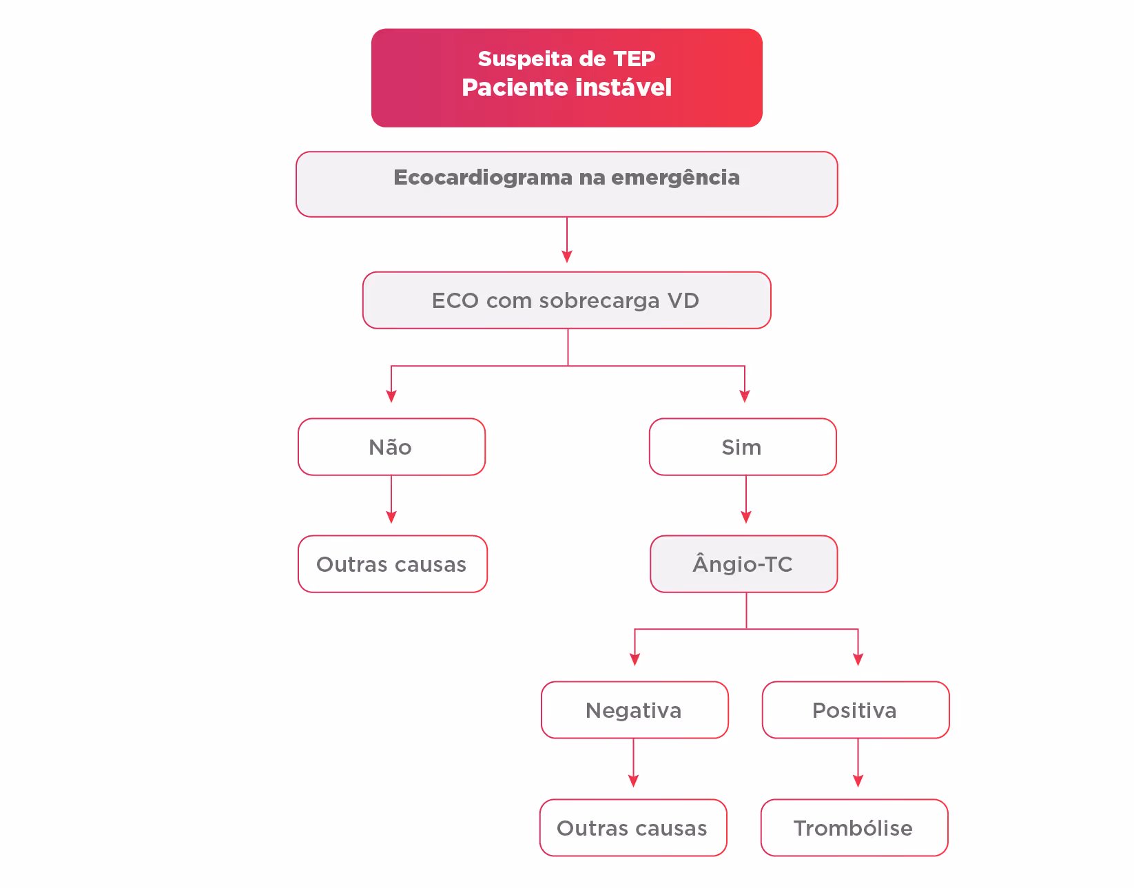 Flowchart for unstable patient suspected of TEP starting with emergency echocardiogram and decision branches.