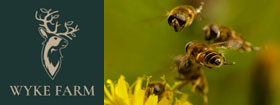 Wyke Farm - a biodiversity project