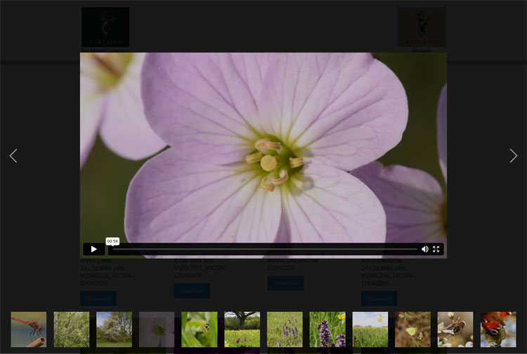 BMD video view screen