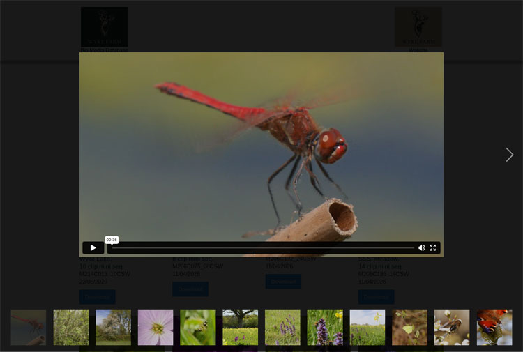 BMD Video clip view screen
