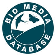 Bio Media Database logo