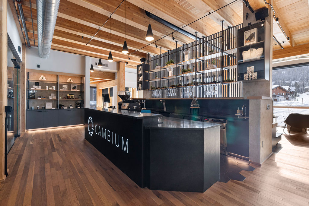 Cambium Spa in Sandpoint, Idaho — commercial construction by StanCraft Construction Group, photo 8