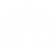 Image of lungs depicting healthy air
