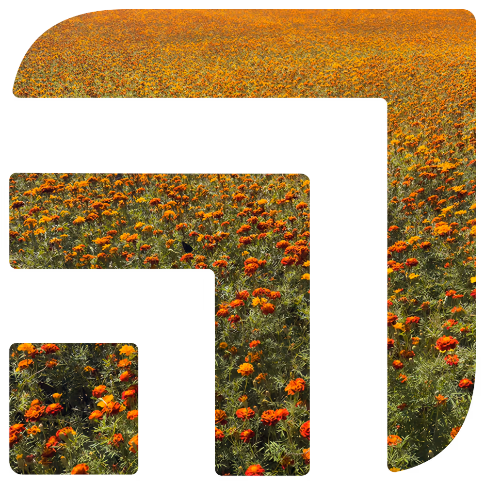 Electra logo with a field of marigolds