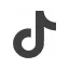 TikTok icon