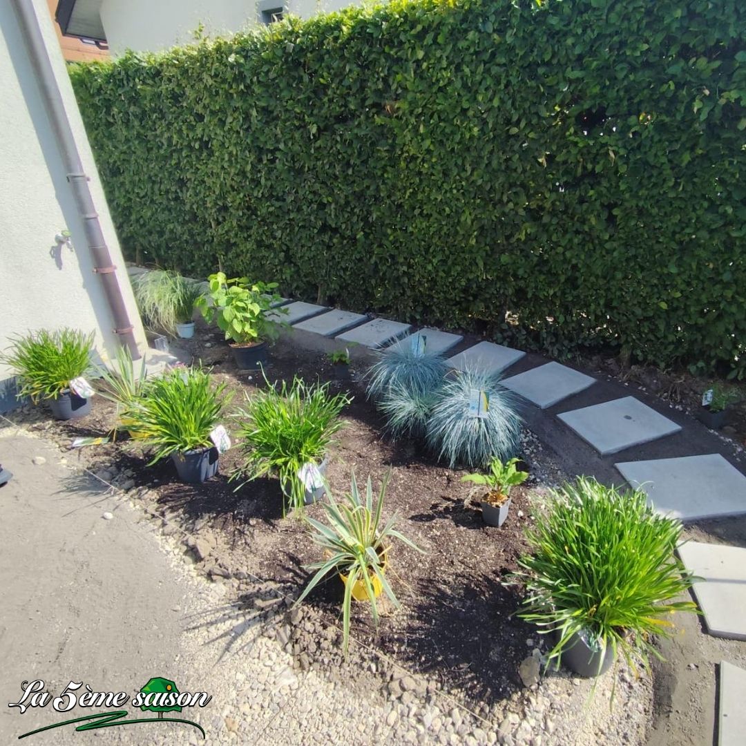 Création de bordure de terrasse avec diverses plantes.