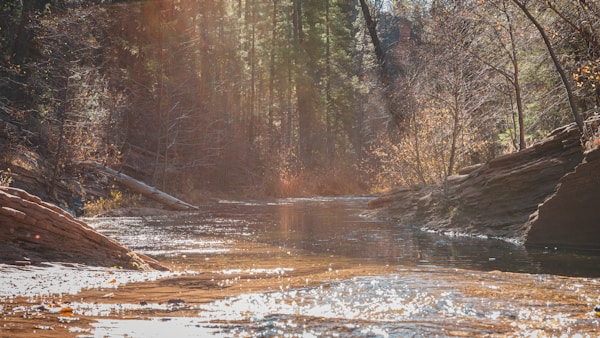 A sunny day at Oak Creek Canyon in Sedona