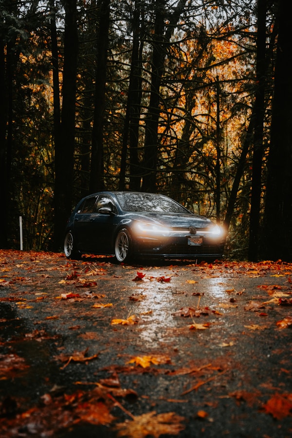 A hatchback in the woods with rain & fall leaves everywhere. Bright orange headlights shining.