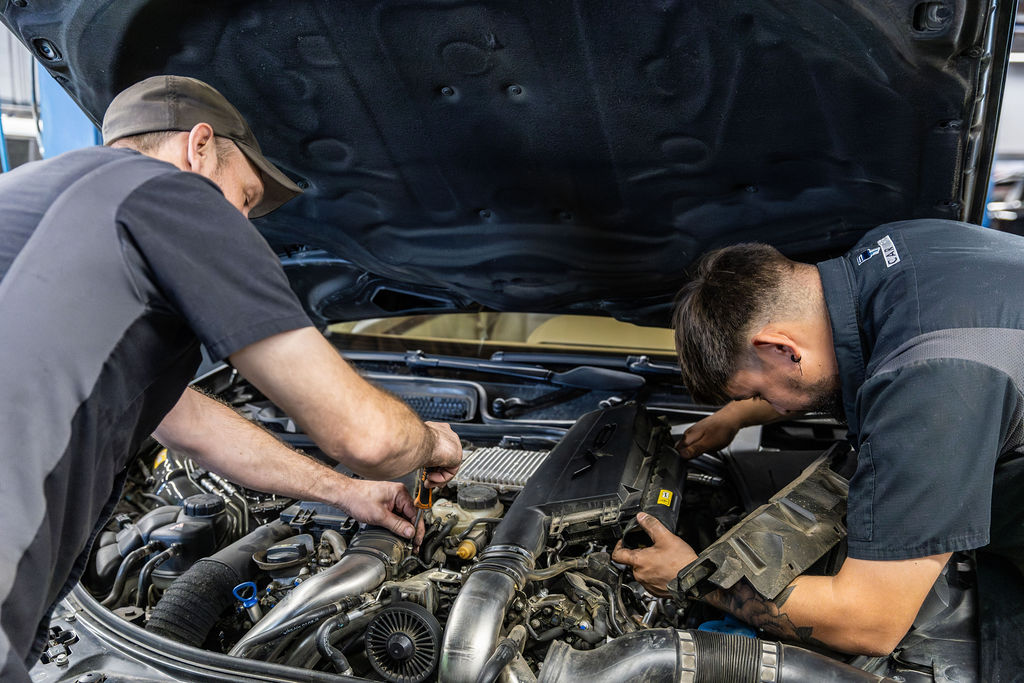 Multiple Car Life Technicians Servicing a Vehicle