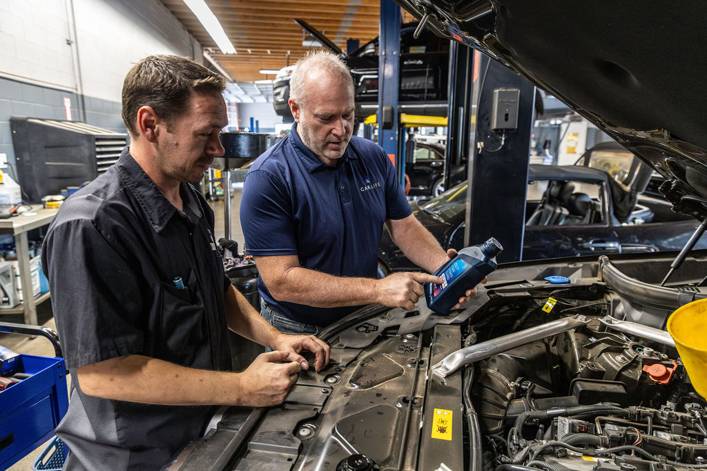 Multiple Car Life Technicians Servicing a Vehicle