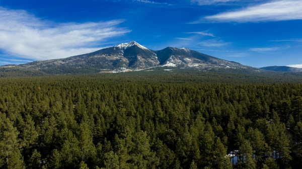 An aerial view of Flagstaff's mountain.