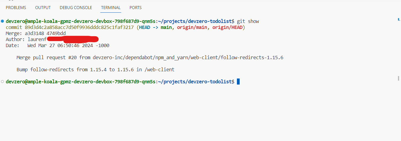 Git shows various details—commits, hash, and branch—of an object of your repository.