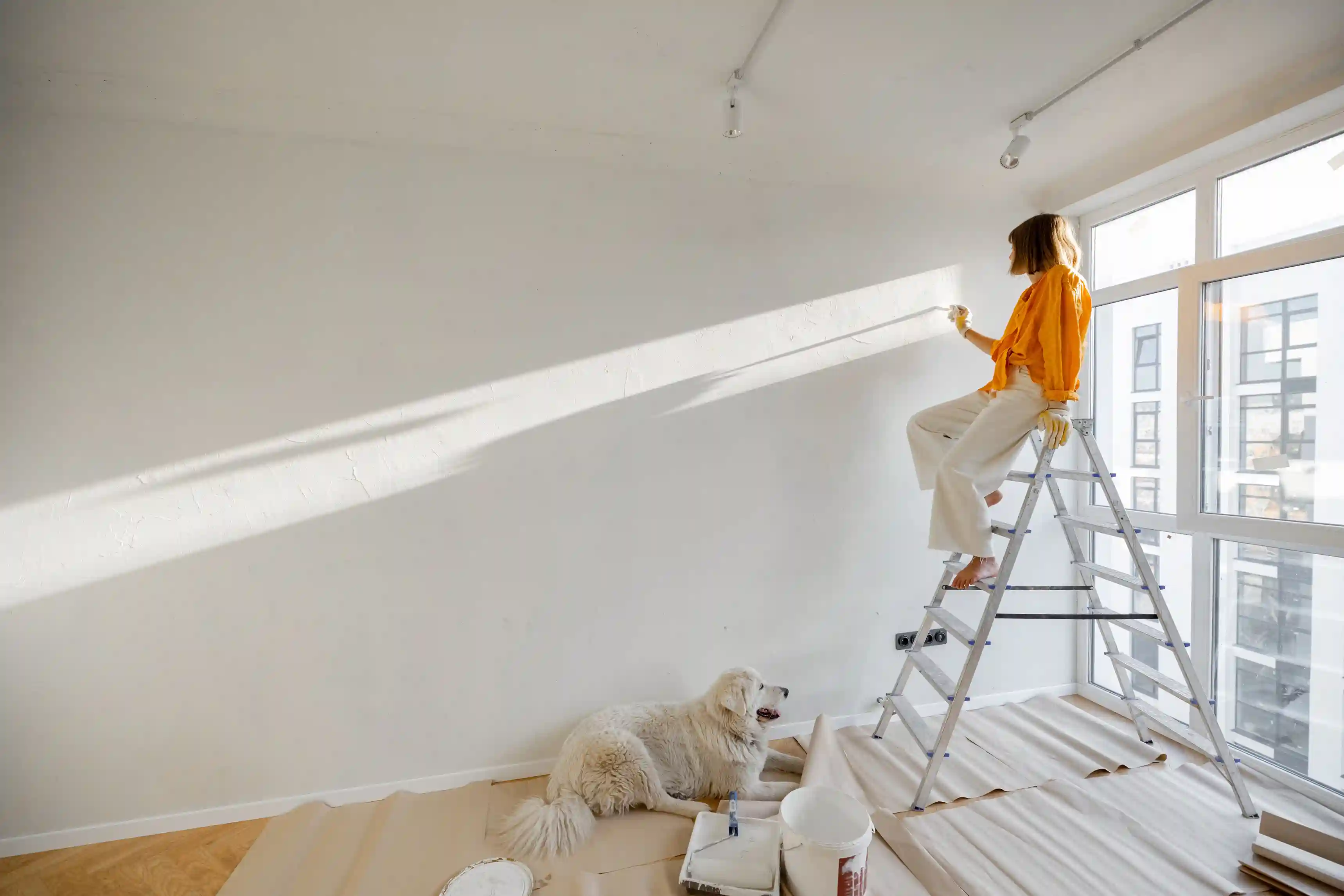 Rénovation bien locatif