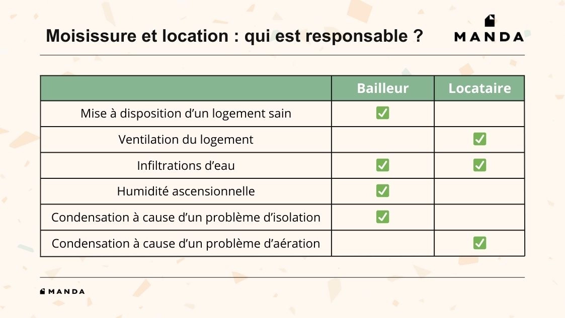 Tableau moisissure et location : qui est responsable ?
