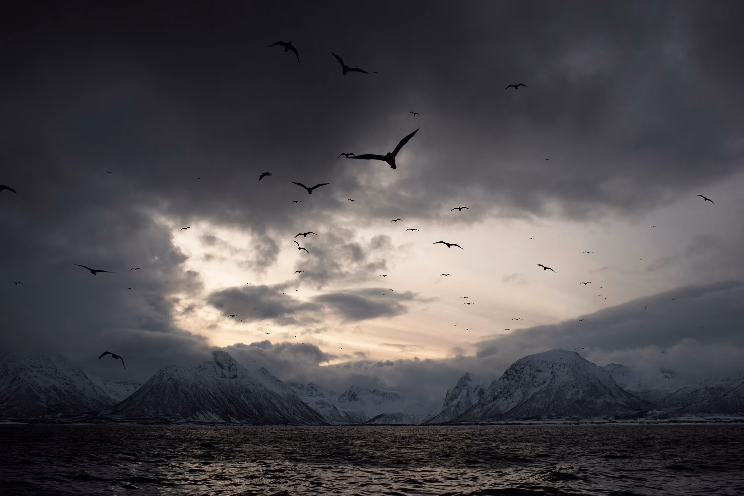 From sea to barrel in Lofoten