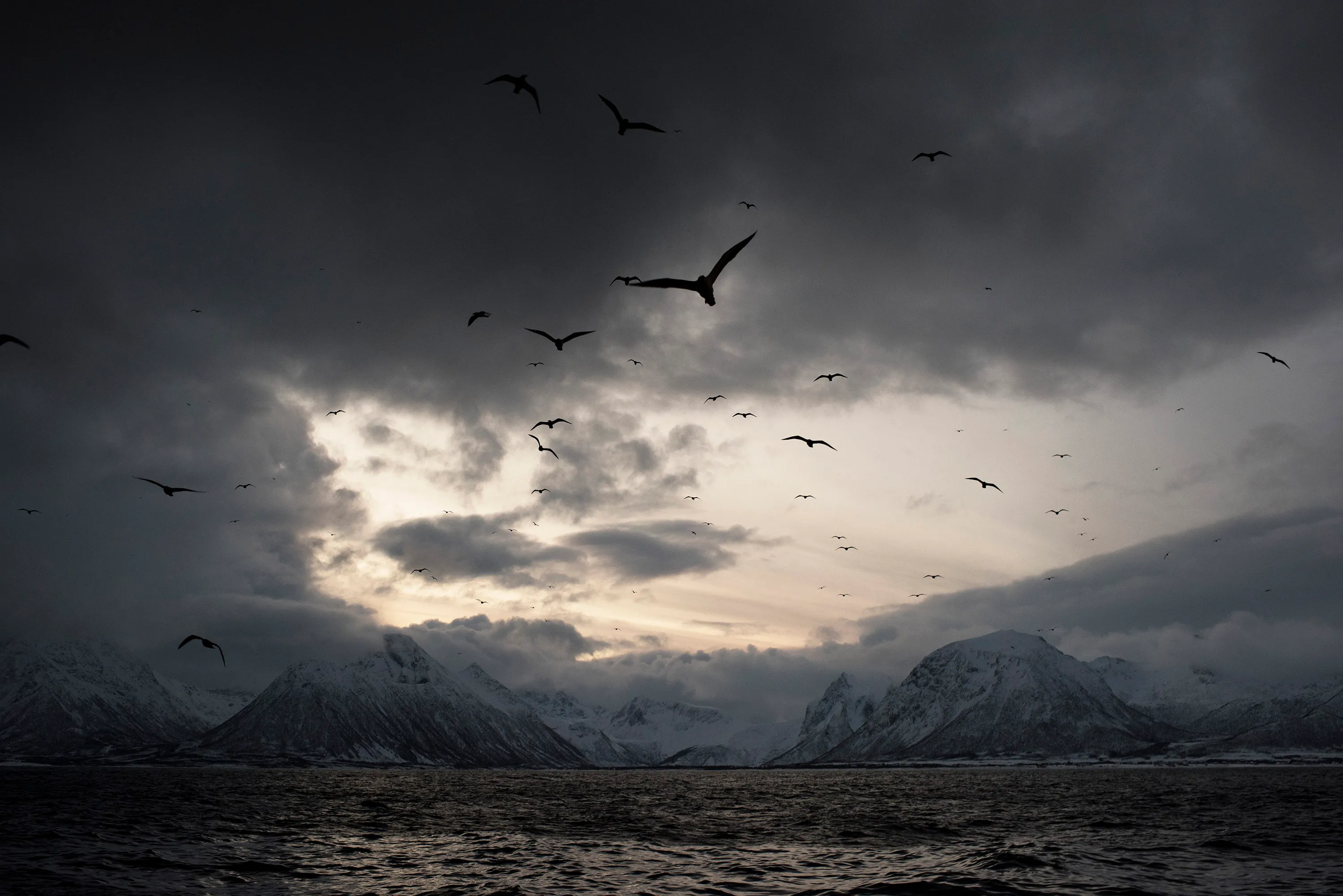 From sea to barrel in Lofoten