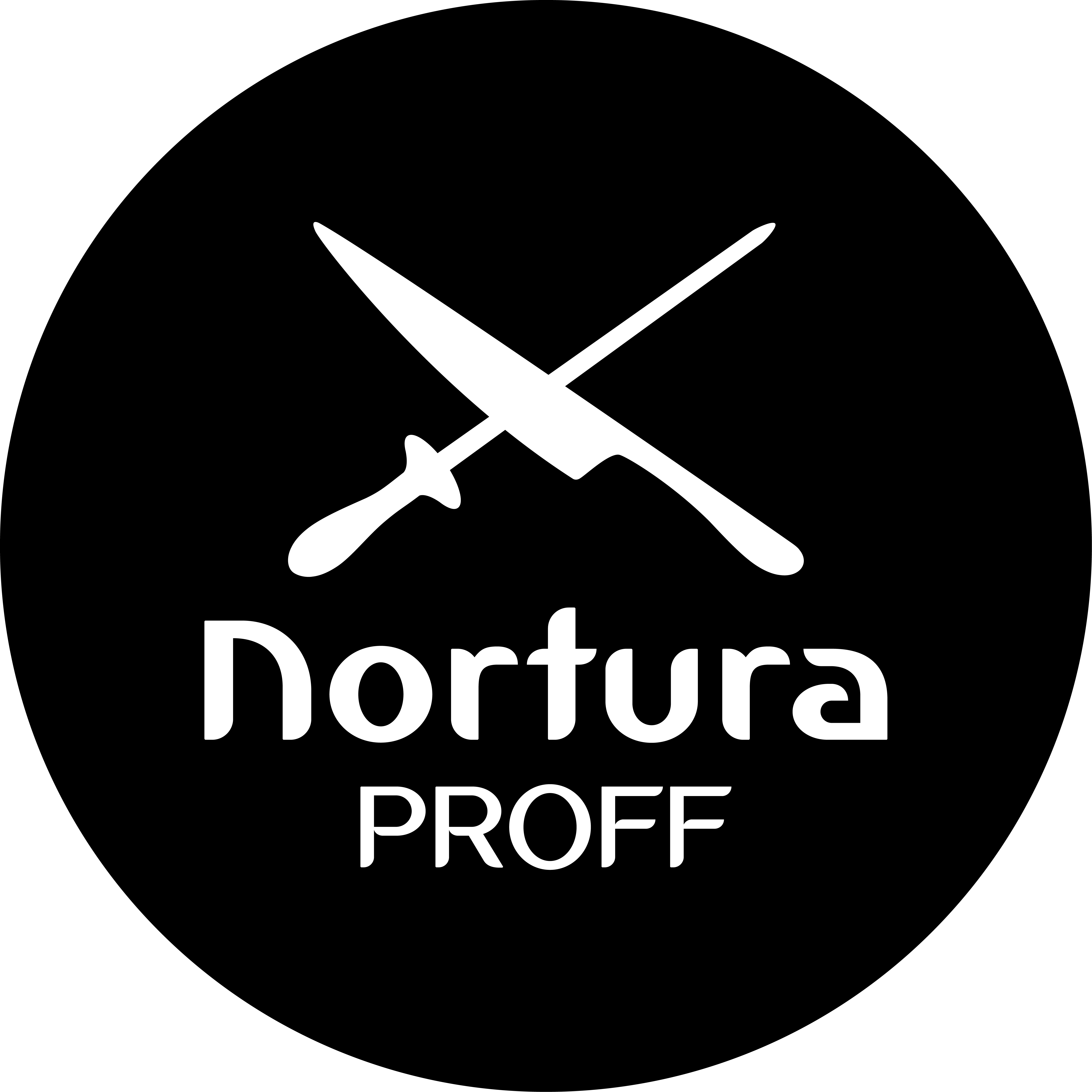 Nortura Proff
