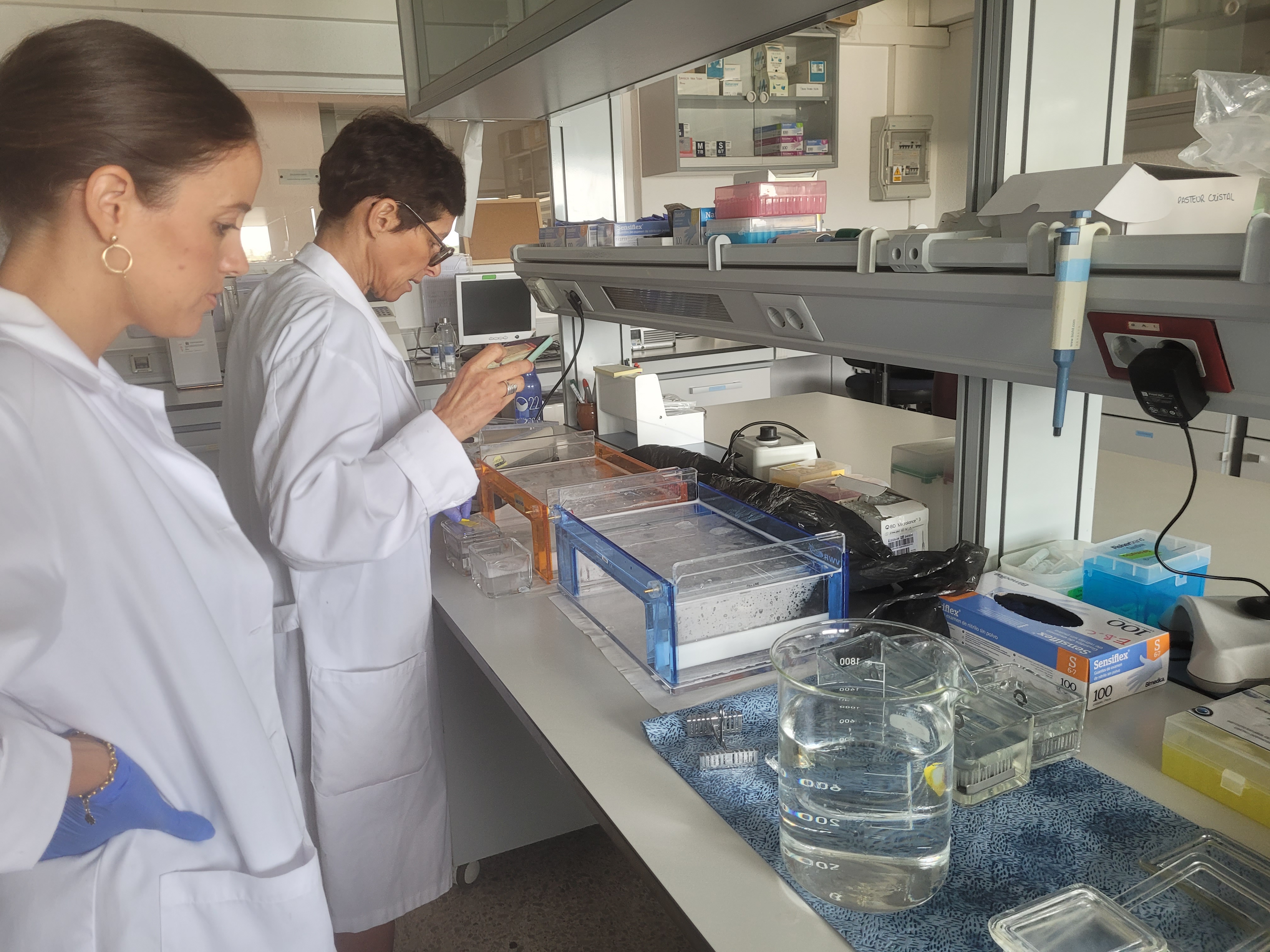 Bivalve Exposure Field Experiments this Summer