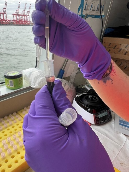 Case study: CECs in Liverpool Bay