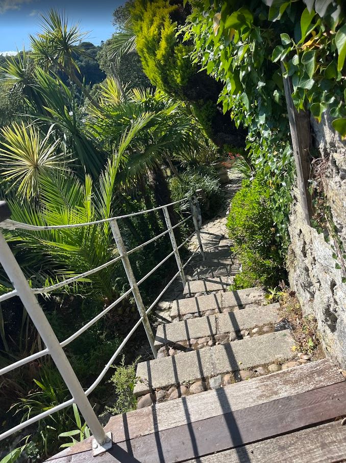 A Garden Transformed
