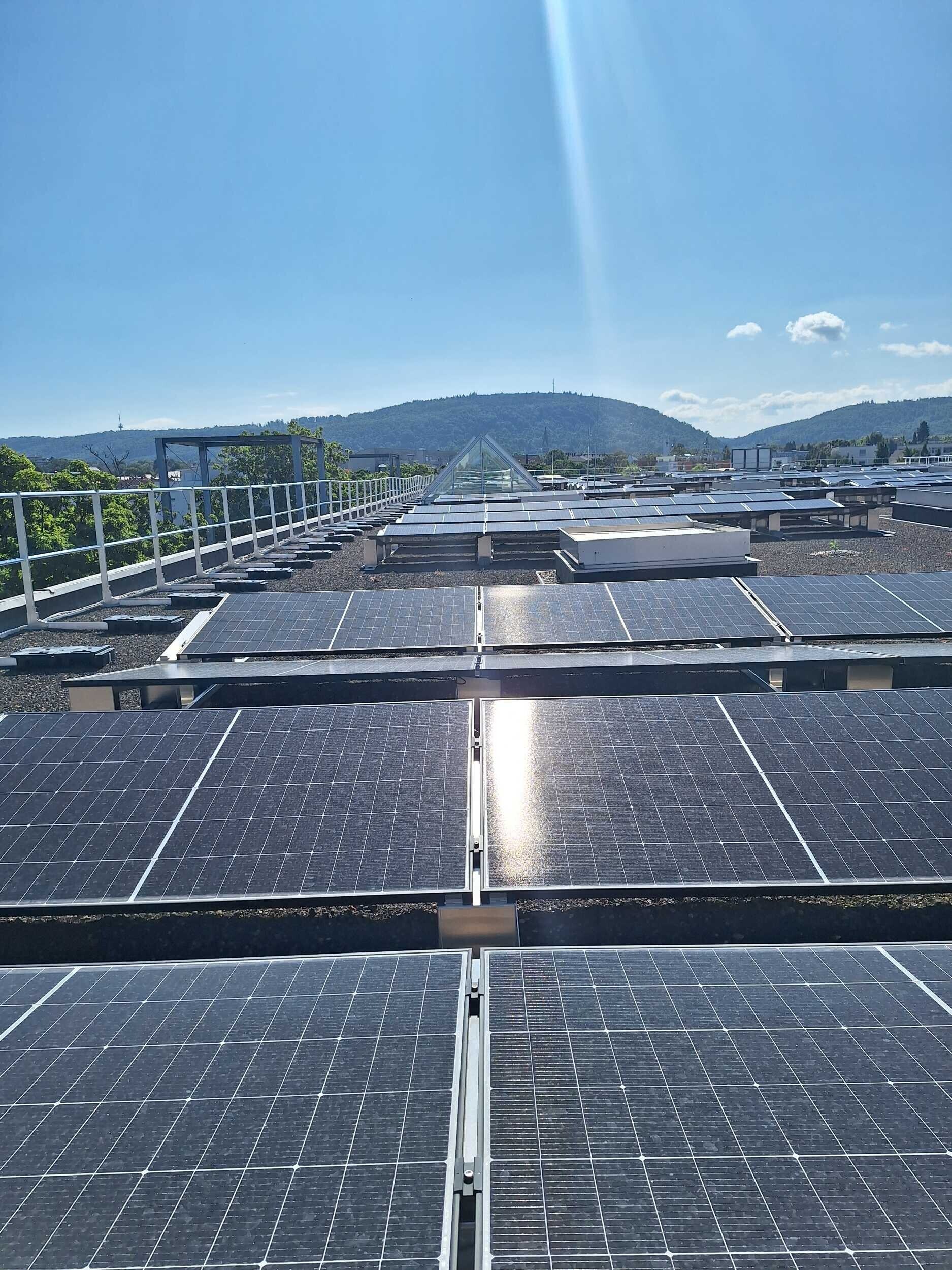 PV-Dachanlage mit Gründach auf einem Kaufhaus in Ettlingen
