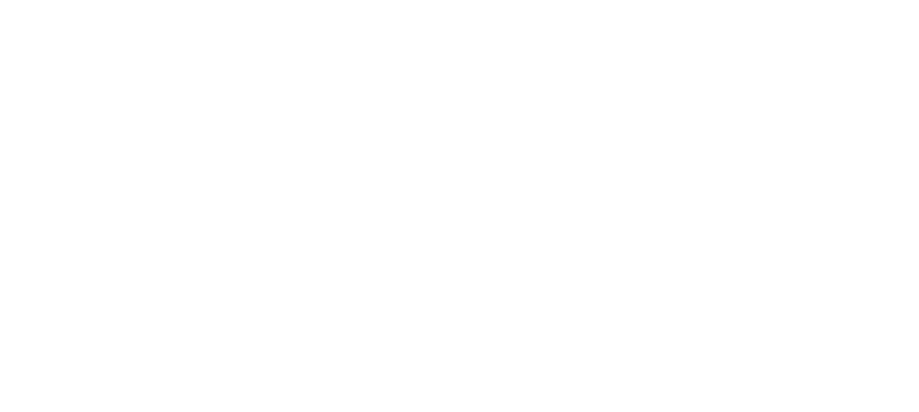 Centroplan Basislogo in Weiß