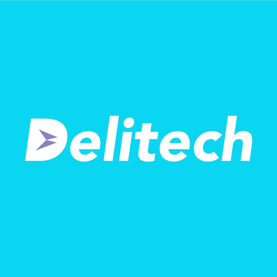 delitech brandbook 5