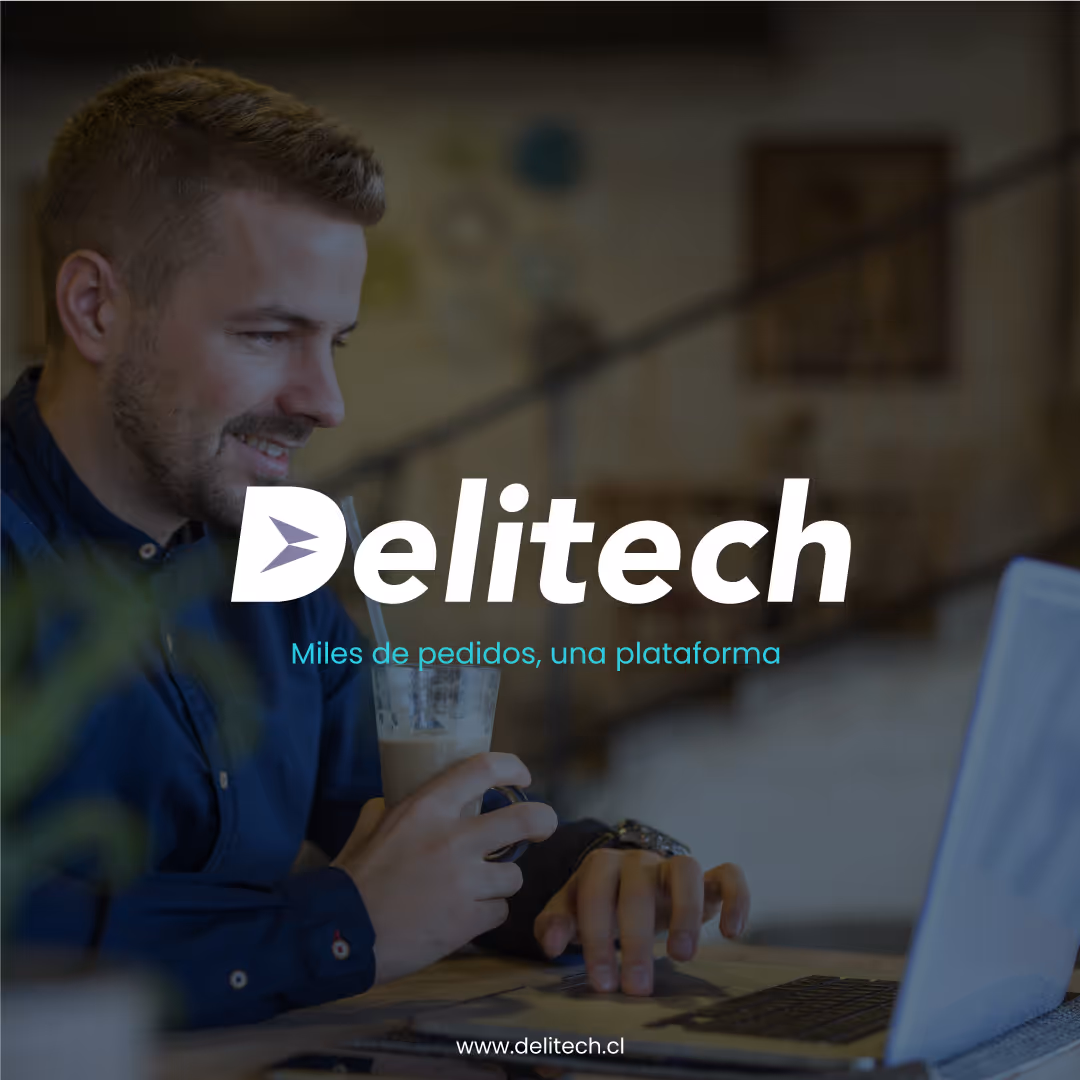 delitech brandbook 11