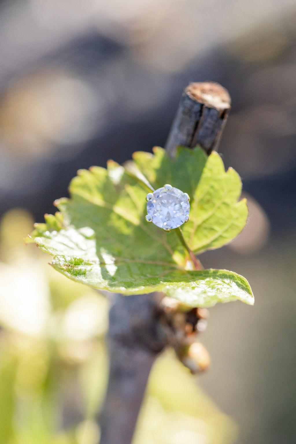 jegyesfotózás Ócsa