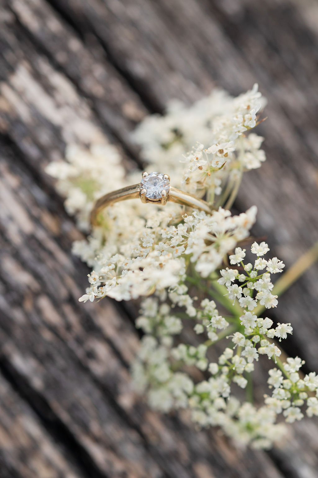 jegyesfotózás Szent Jakab sétány Dabas