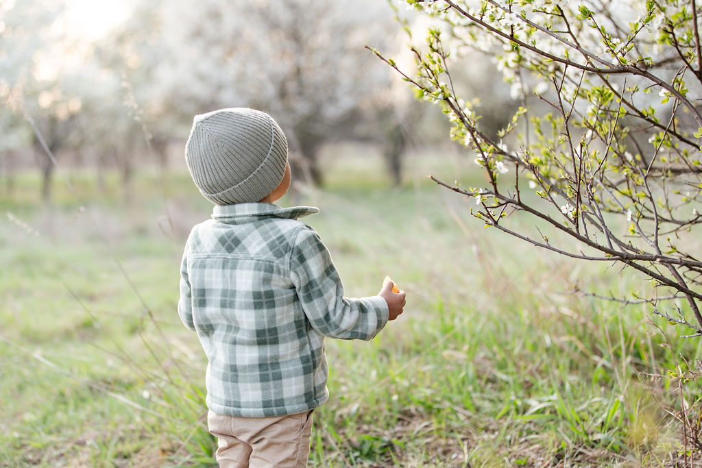 két éves kisfiú tavszi fotó