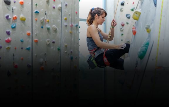 Climbing Types Image