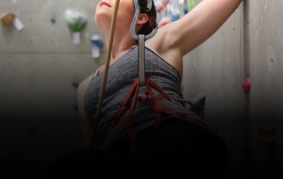 Climbing Types Image