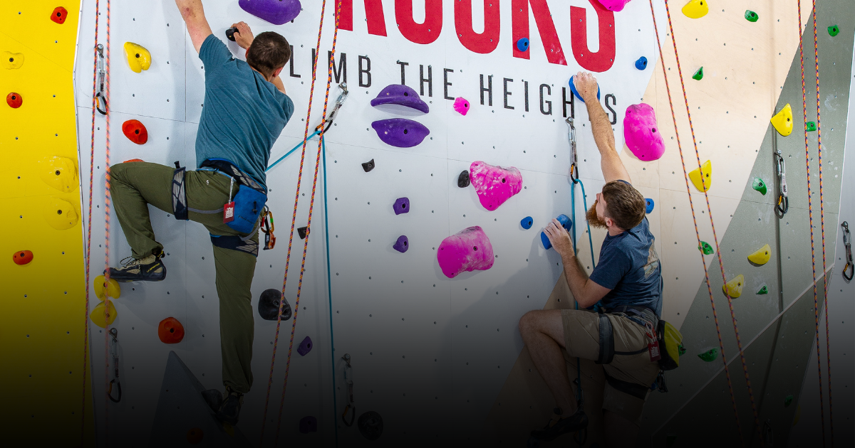 Climbing Types Image