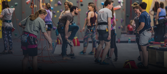 Climbing Types Image