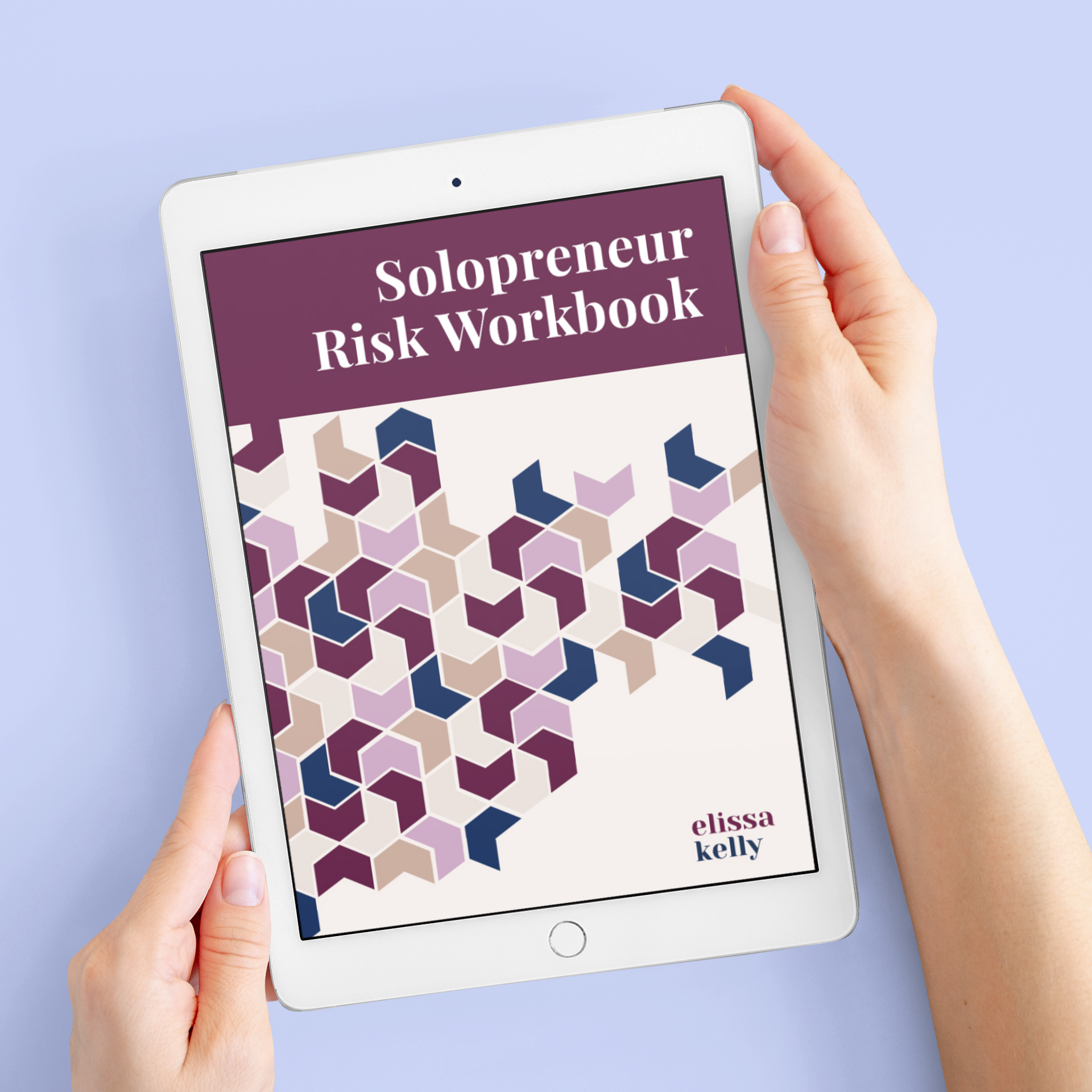 The Four Pillars of Entrepreneur Risk | Elissa Kelly