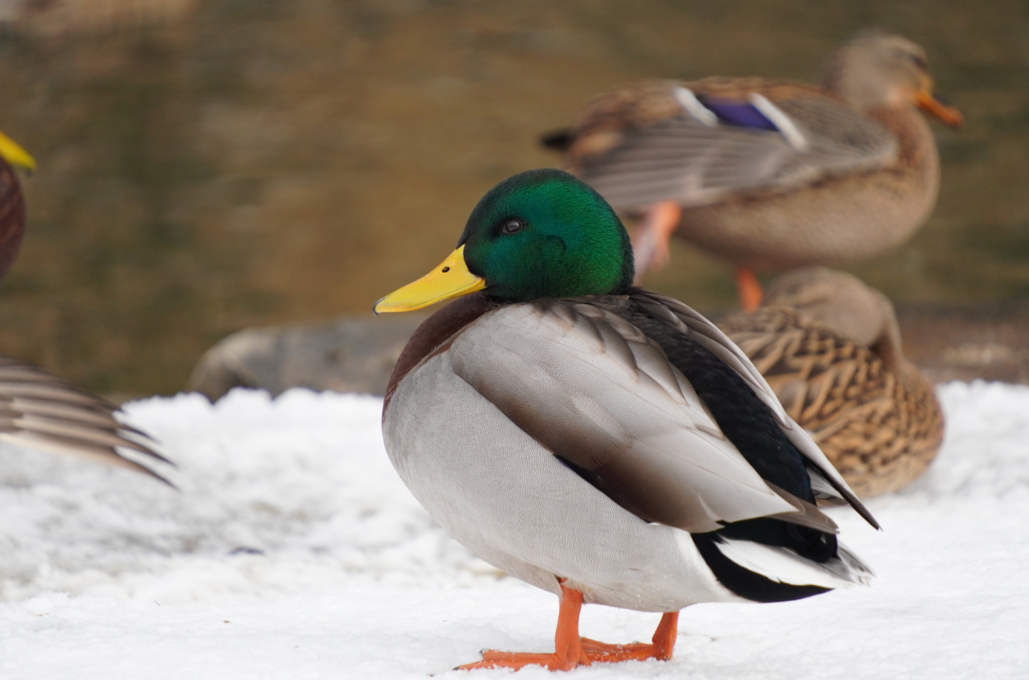 The Careers Page Is Your Culture Mirror (So What’s It Reflecting?)
