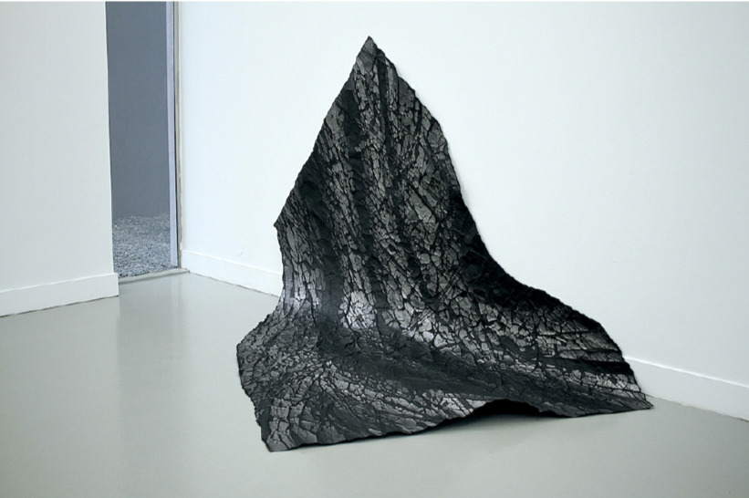 Rachel Bacon - Disynclination