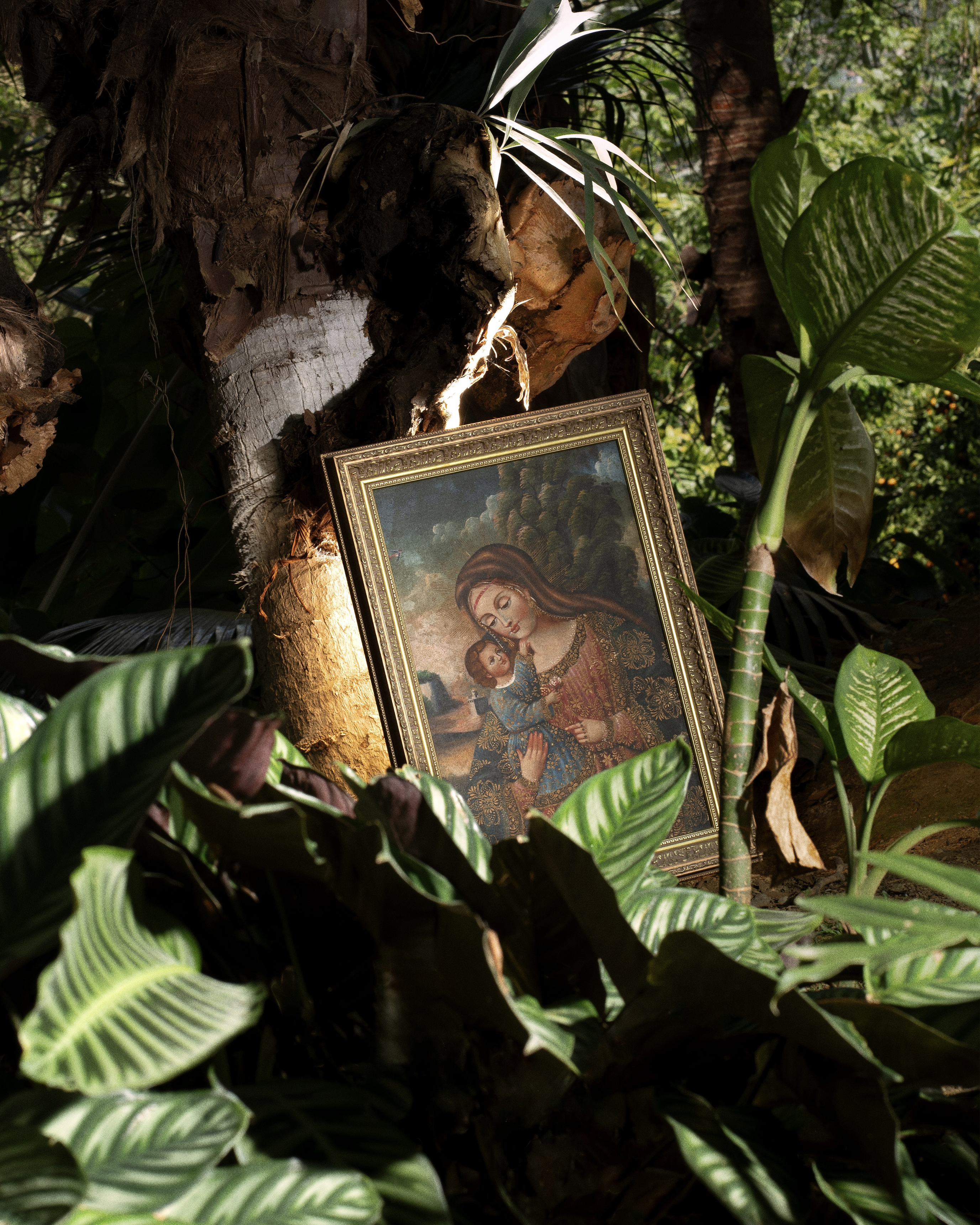 "madre de dios"