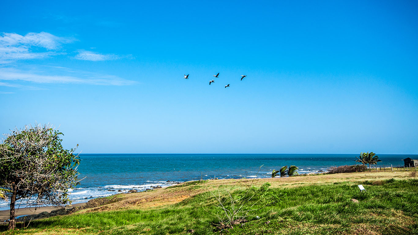 __wf_reserved_heredar