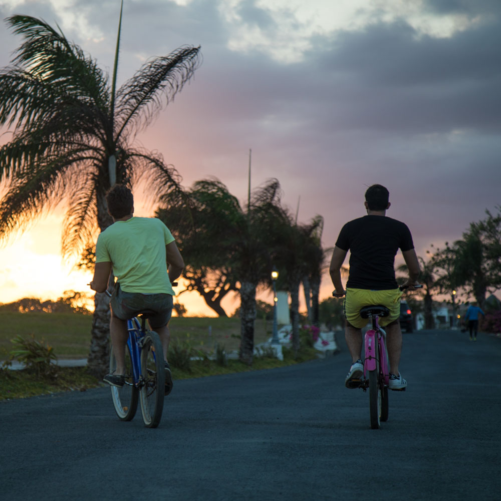 __wf_reserved_heredar