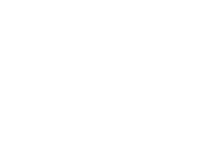 Southern Methodist University
