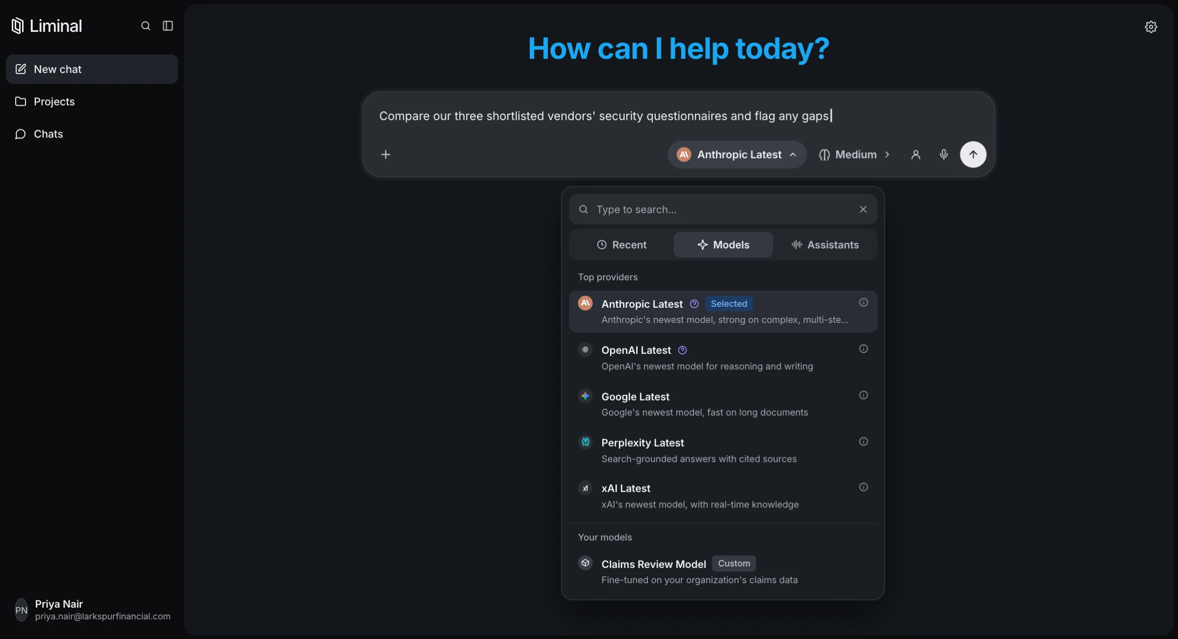 Liminal workspace with a prompt typed in and the model picker open below it, listing models from Anthropic, OpenAI, Google, Perplexity, and xAI, plus a custom fine-tuned model.