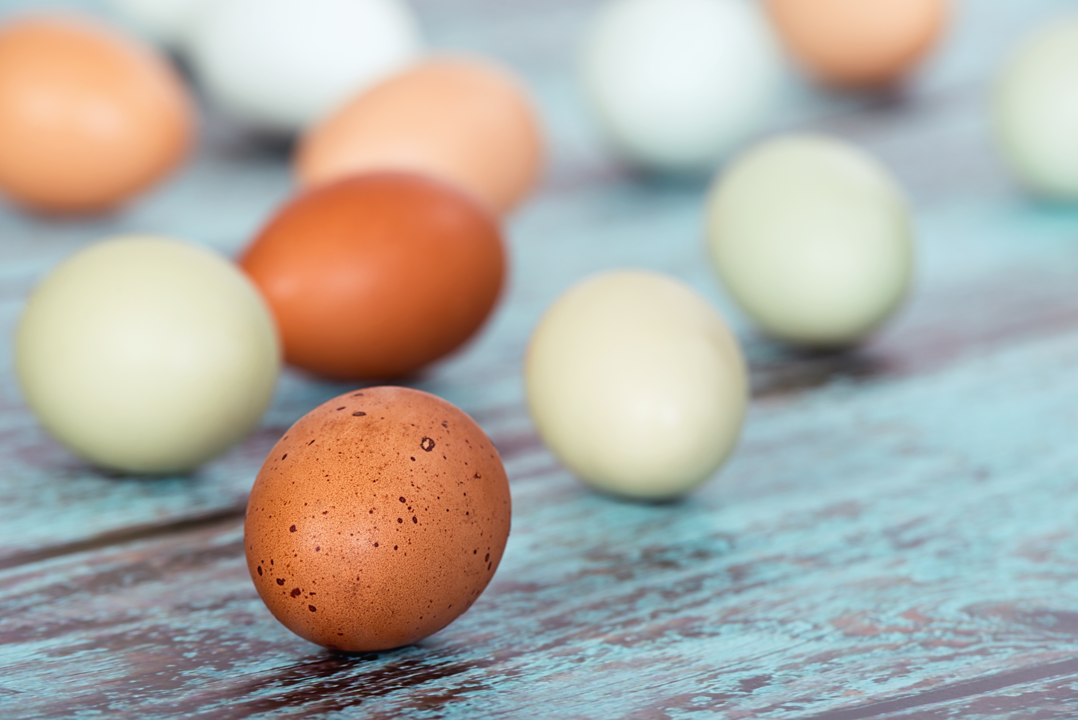 Farm fresh eggs laid out on a wooden table