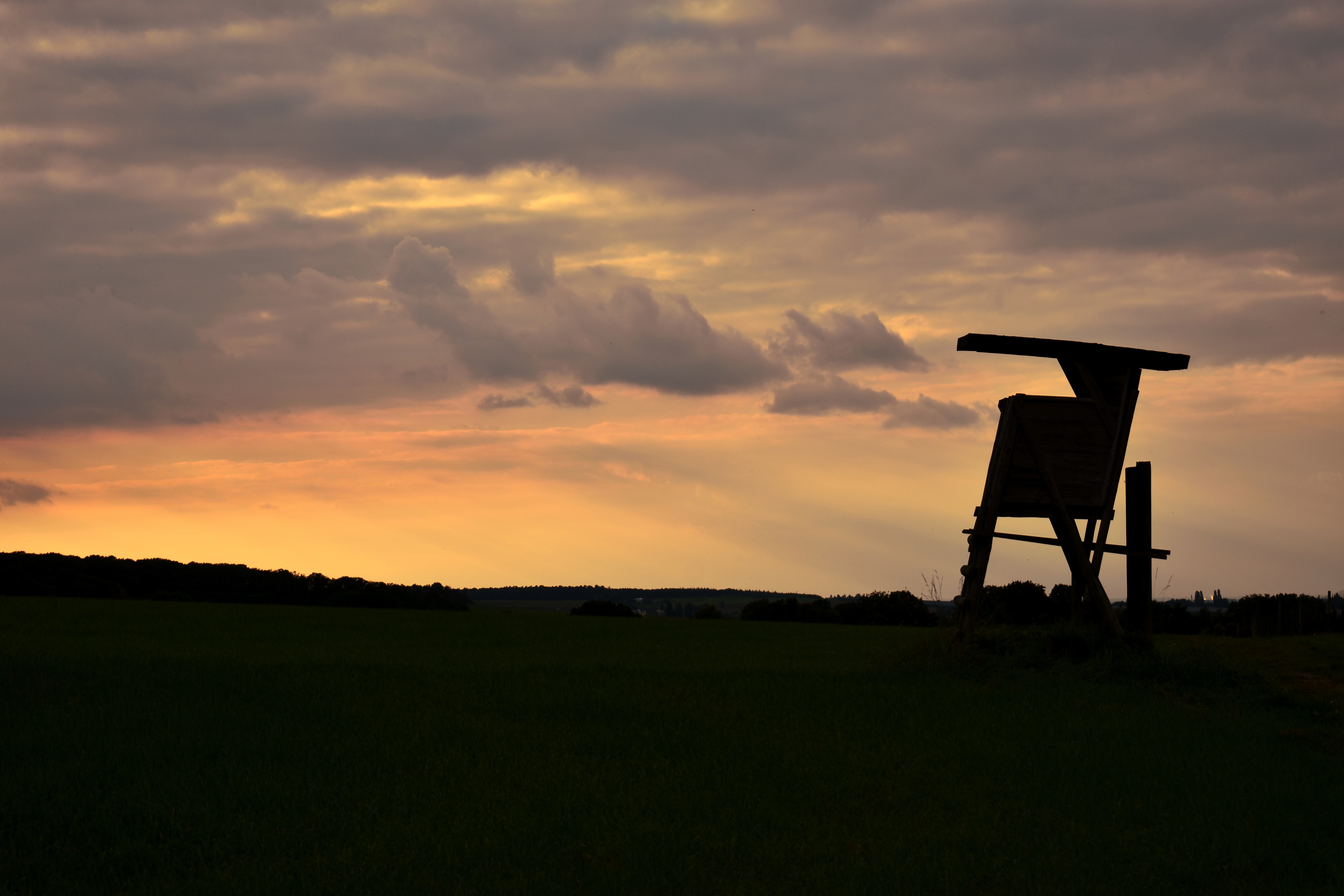 deer hunting treestand in a field during sunrise