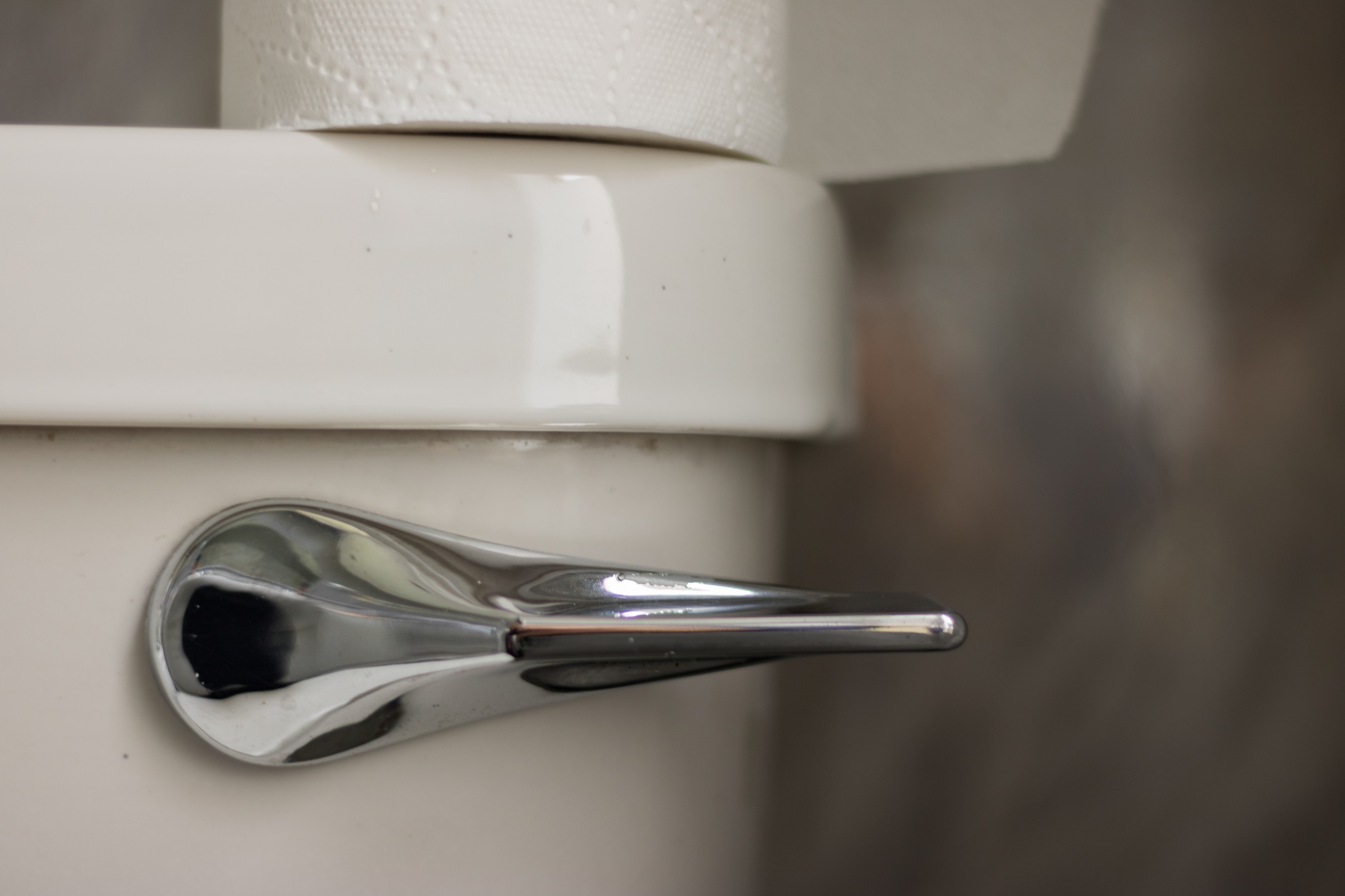 Silver toilet handle with a roll of toilet paper pictured above
